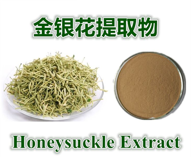 Honeysuckle extract - chlorogenic acid